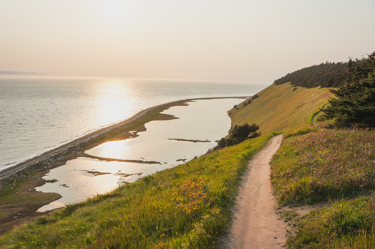 Ebey's Landing Bluff Trail