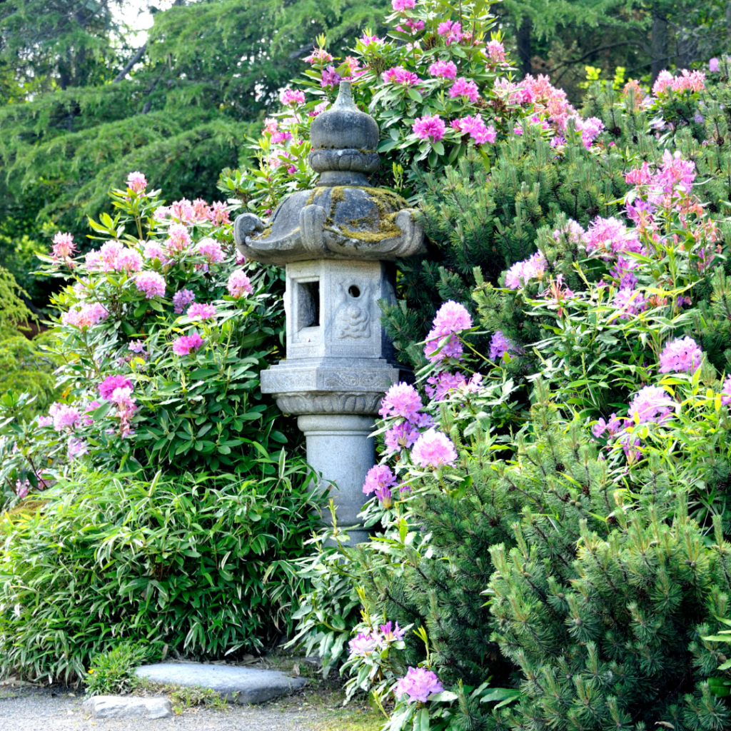 Kubota Garden, Seattle, WA