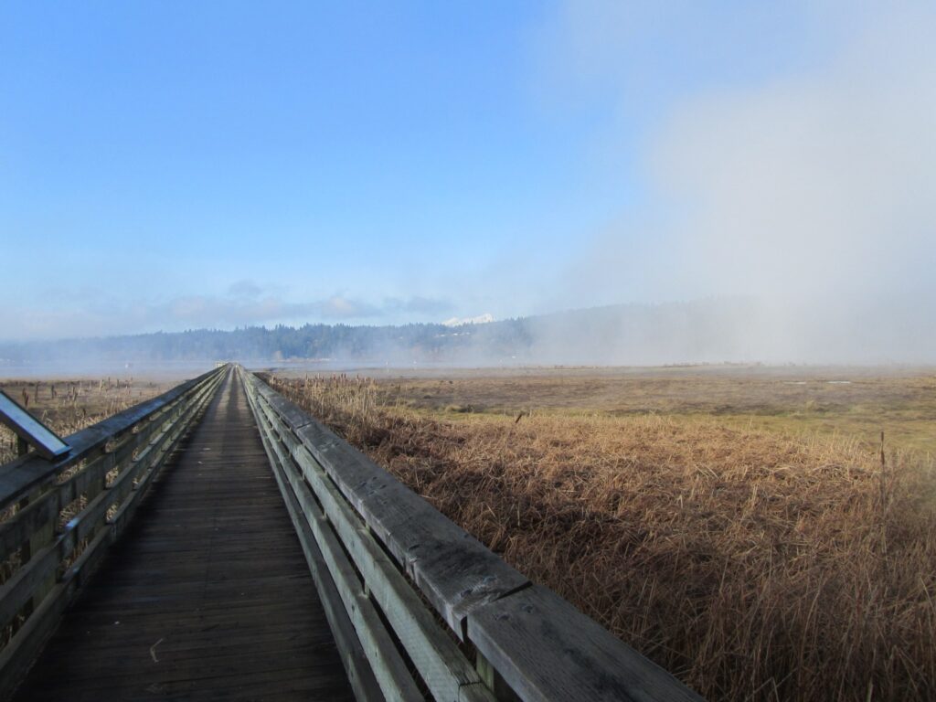 Mary E. Theler Wetlands Nature Preserve