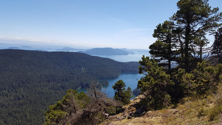 Mount Constitution Trail