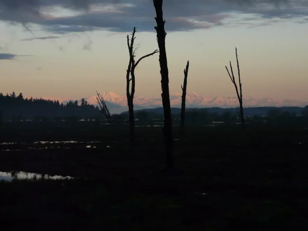 Nisqually National Wildlife Refuge