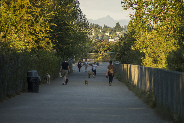 Warren G. Magnuson Park Trails