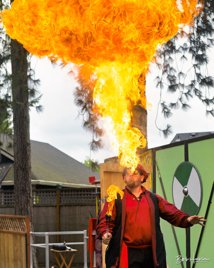 Washington Midsummer Renaissance Faire