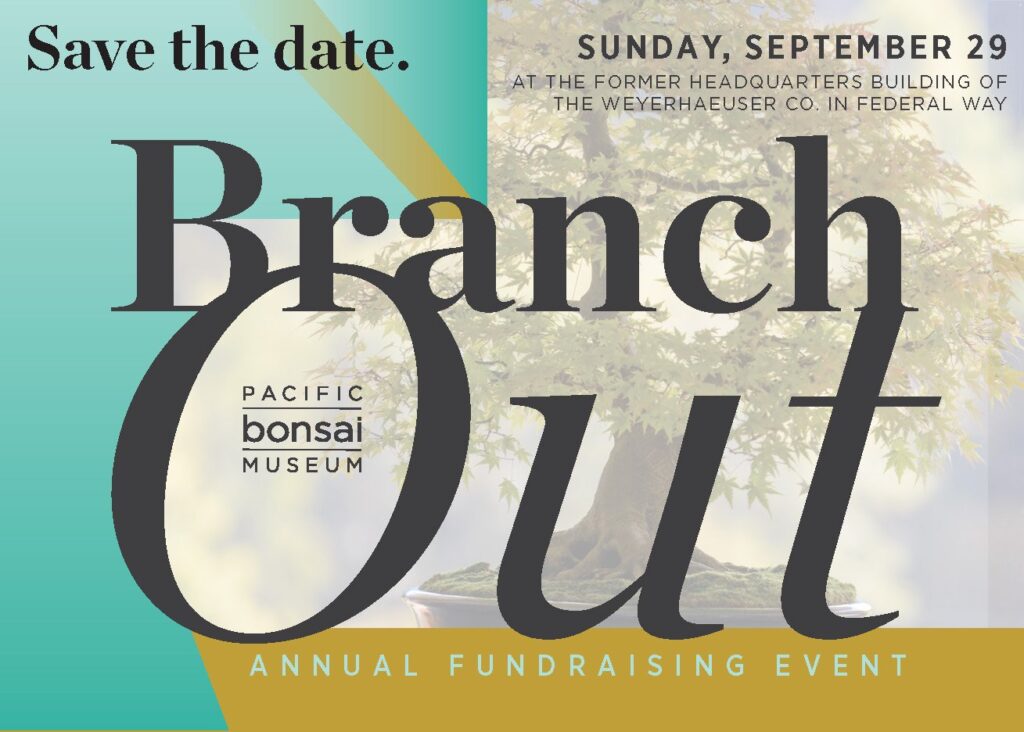 Branch Out- A Bonsai Celebration